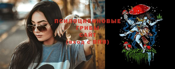 винт Абаза