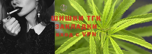 винт Абаза