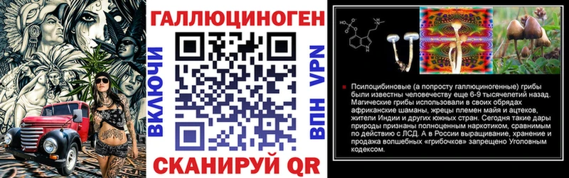 KRAKEN как войти  Правдинск  Галлюциногенные грибы GOLDEN TEACHER 